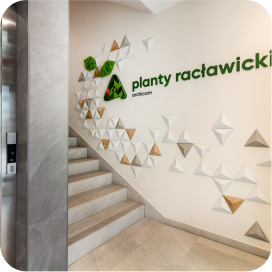 Wejście - mieszkanie przy ul. Wichrowej we Wrocławiu.